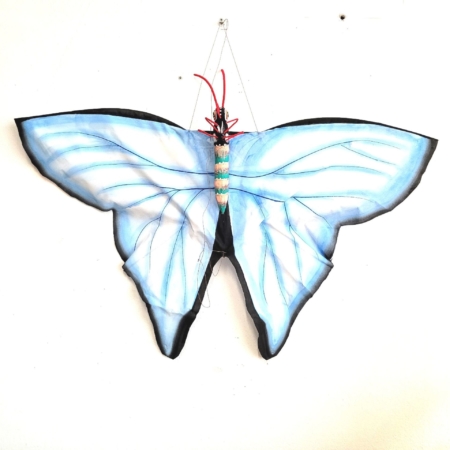 Flugdrache Schmetterling blau