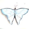 Flugdrache Schmetterling blau