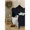 Annie Sloan Chalk Paint Athenian Black