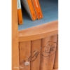 Annie Sloan Chalk Paint Barcelona Orange